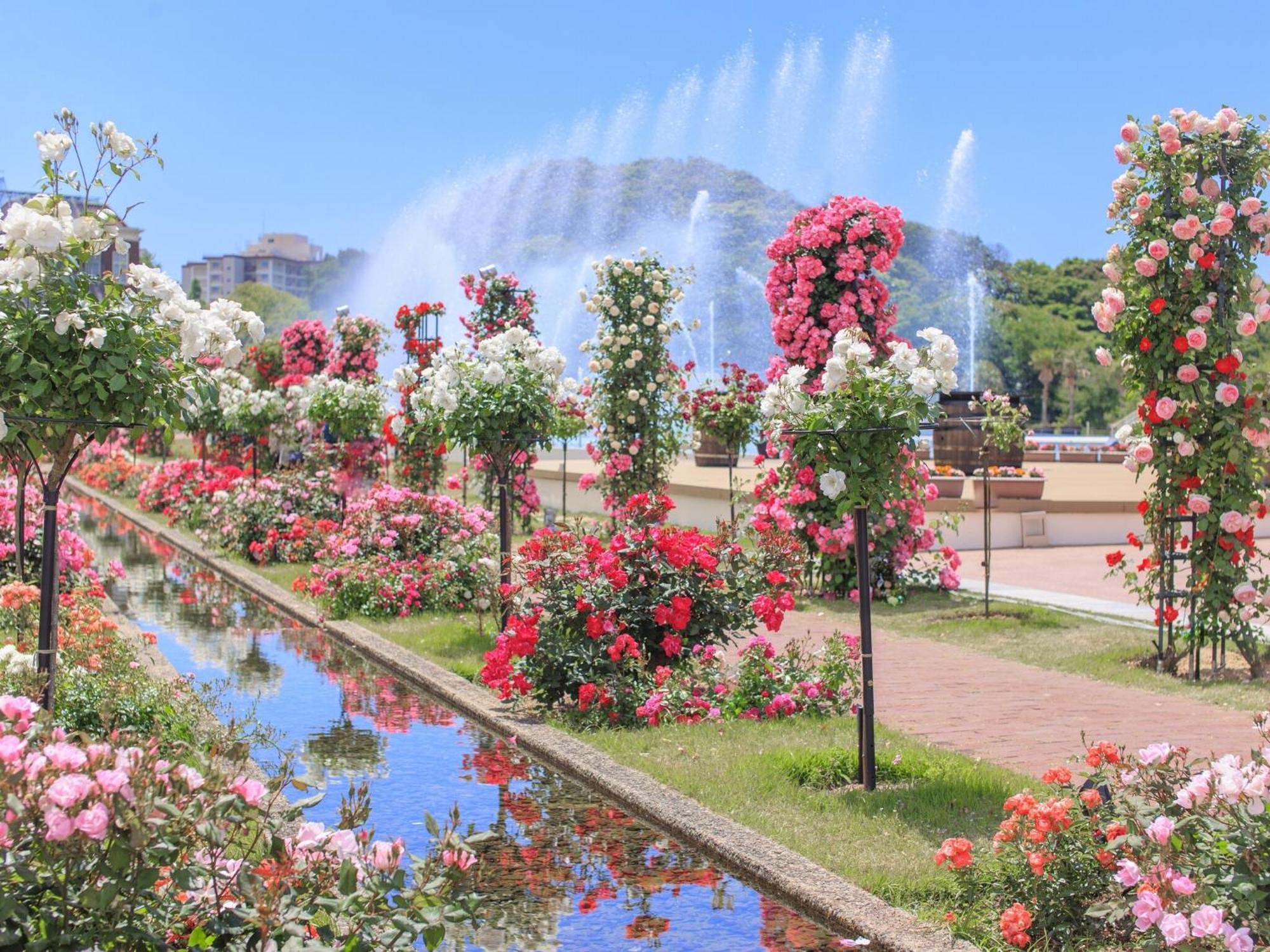 فندق ووترمارك نجاسكي هوس تن بوش ساسيبو المظهر الخارجي الصورة The International Rose Test Garden
